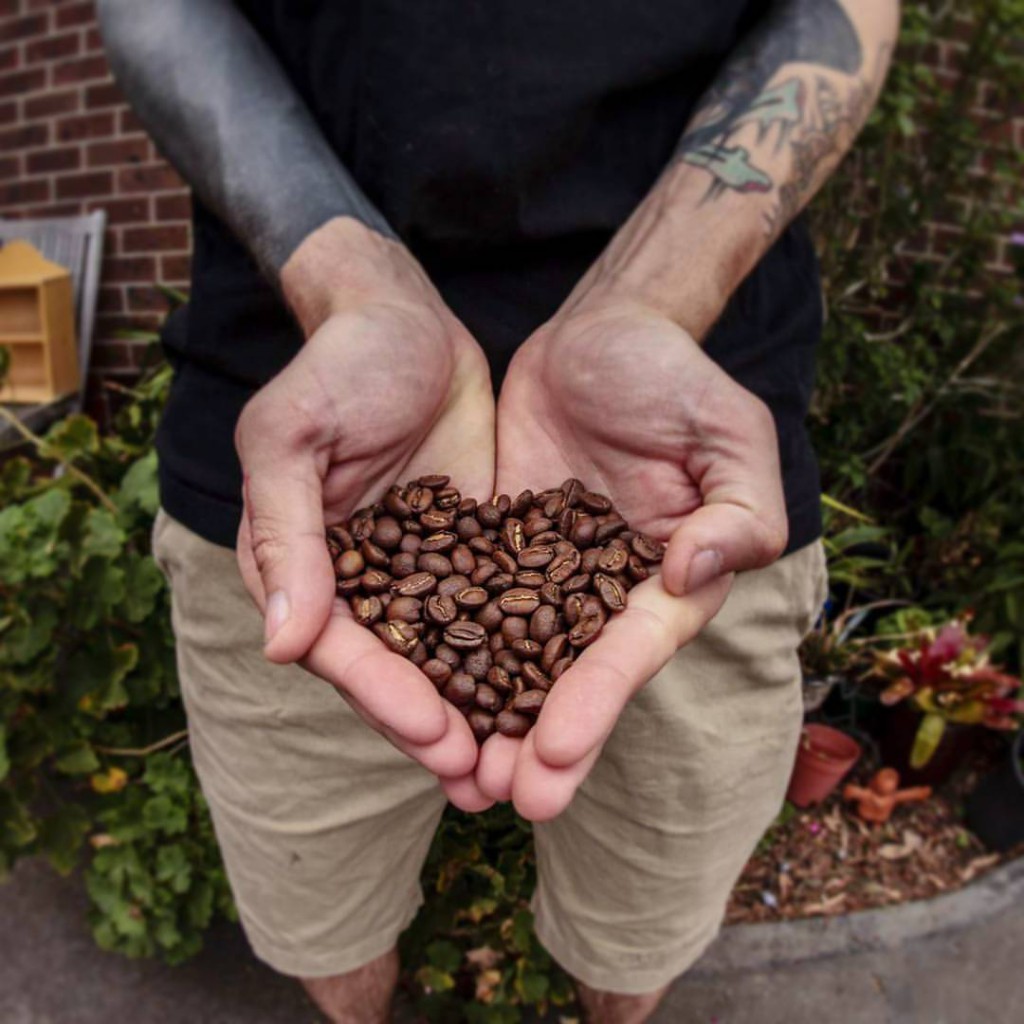 Humble Harry Coffee tattoo beans