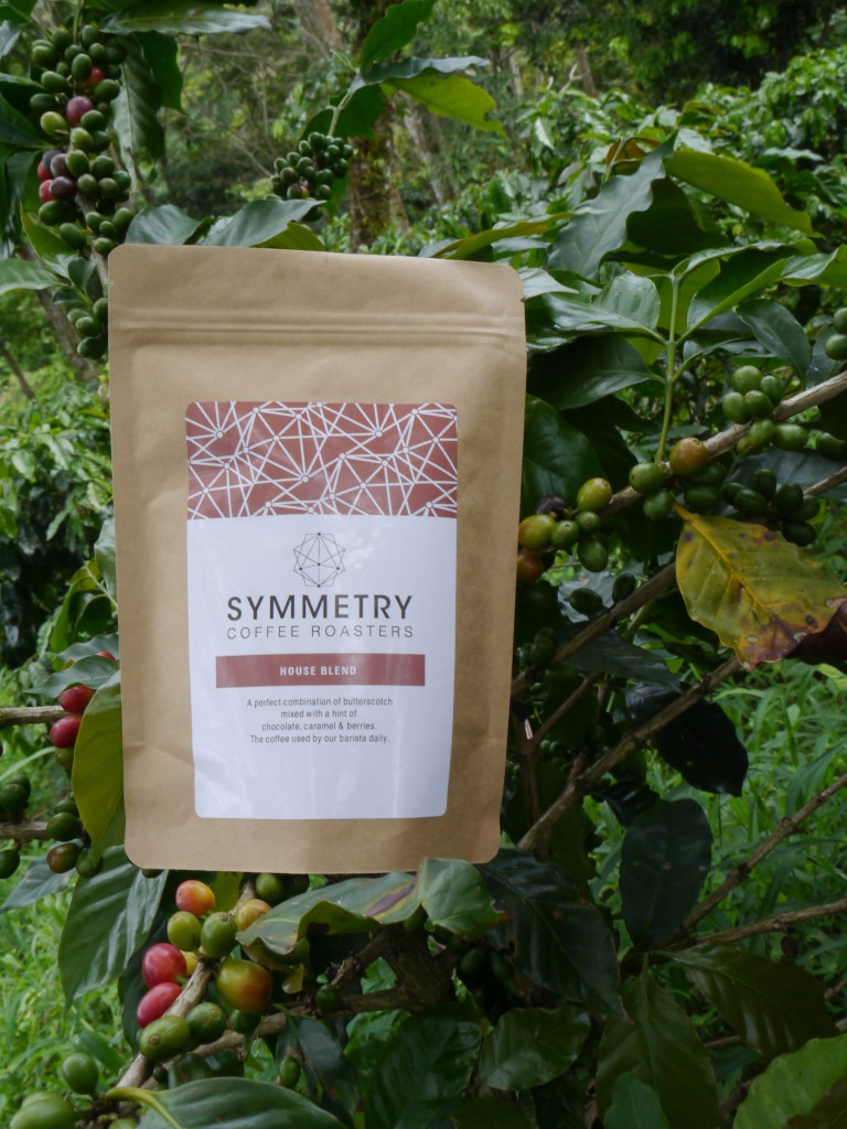 symmetry coffee tree